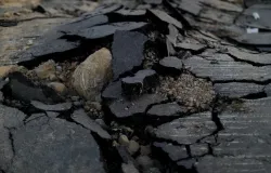 Terremoto de magnitude 8.0 sacode o Panam� e gera alerta de tsunami
