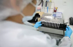 Brasil cria a primeira vacina do mundo contra o tipo mais comum de mal�ria no pa�s