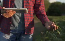 Embrapa cria aplicativo simples para facilitar a vida de produtores de org�nicos
