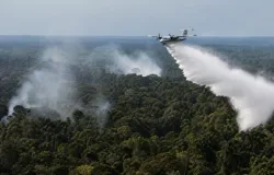 Governo mobiliza ex�rcito de avi�es e homens para apagar 229 inc�ndios na floresta do Amazonas