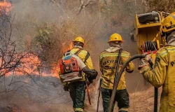 Governo envia avi�es militares para apagar fogo na Amaz�nia