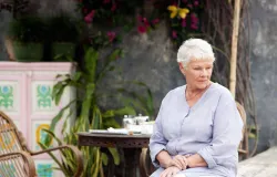 Judi Dench, aos 91 anos, declara: 'Odeio ser chamada de tesouro nacional' e revela desejo de morrer em palco