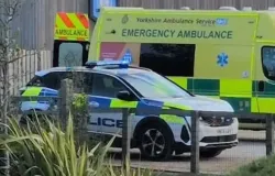 Homem morre ap�s invadir jaula de tigres em parque da Inglaterra e pol�cia alerta perigo