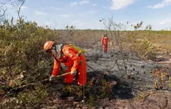 Bahia alerta para calor extremo de 41�C e baixa umidade com El Ni�o