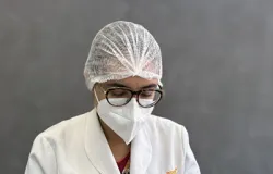 Dieta especial alivia sintomas em gatos com inflama��o intestinal, revela estudo da USP