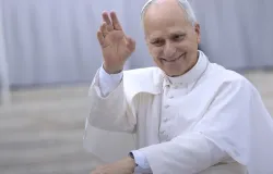 Papa Le�o XIV entra em cirurgia para remover tumor no pulm�o