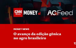 Edi��o gen�tica: 108 produtos agro transformados pelo CRISPR no Brasil desde 2018
