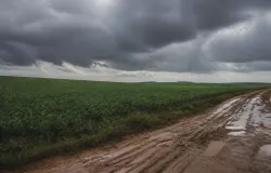 Chuva de at� 107 mm pode paralisar colheita em Itapetininga e cidades do PR