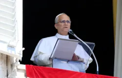 Papa Le�o XIV melhora ap�s cirurgia e j� caminha no hospital