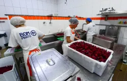 Programa de SP ensina a usar cascas e talos de legumes para economizar e nutrir
