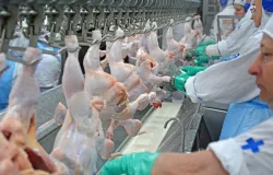 Menos turnos de trabalho pode deixar a carne mais cara no supermercado