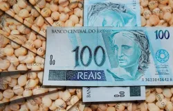 Cr�dito privado do agro quase chega a R$ 600 bilh�es em setembro, aponta Mapa