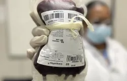 Crian�as com hemofilia ganham tratamento menos doloroso e mais f�cil no SUS