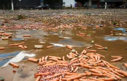 Chuva forte causa estragos em v�rias cidades de S�o Paulo