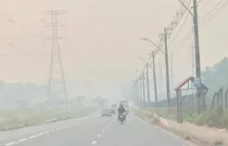 Manaus est� coberta por fuma�a e prefeitura pede ajuda urgente