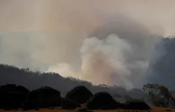 Ar virou perigoso em Manaus: fuma�a de queimadas obriga cancelamento de atividades ao ar livre