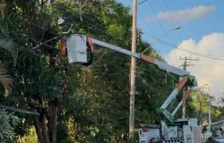 Vento de 75 km/h derruba �rvores e deixa bairros de Estiva Gerbi sem luz