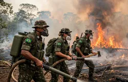Fogo avan�a no oeste do Par� e ar fica perigoso para respirar