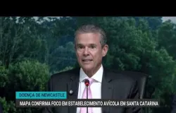 Governo confirma surto de gripe avi�ria em granja de perus em Santa Catarina
