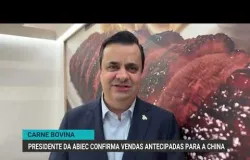 Brasil acelera abates para vender carne antes e garantir lucro na China