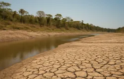 Falta de chuva causa seca e governo declara emerg�ncia em quase todo o Amap�