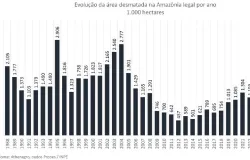 Rebanho aumenta e desmatamento cai: dados mostram que pecu�ria legal n�o derruba floresta