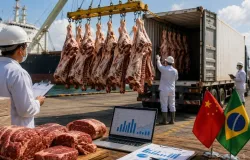 Exporta��es de carne bovina do Brasil batem recorde em abril, mas avan�o da quota chinesa gera alerta no setor