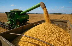 Safra recorde do agroneg�cio brasileiro impulsiona exporta��es em 2026