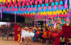Festas Juninas 2026: preparativos e tradi��es marcam in�cio das comemora��es no Brasil