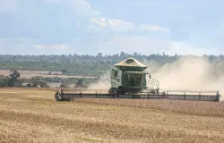 Agroneg�cio brasileiro projeta safra recorde de gr�os para 2026 com avan�o tecnol�gico no campo