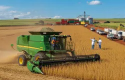 Safra recorde no agroneg�cio brasileiro impulsiona exporta��es e inova��o