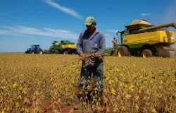 Agroneg�cio brasileiro se destaca em exporta��es de commodities em 2026