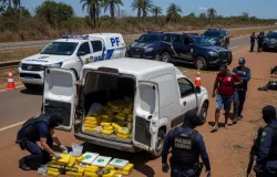 Opera��es da PF intensificam combate ao tr�fico de drogas no Brasil