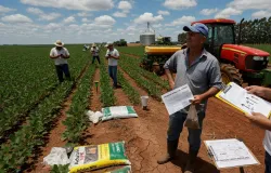 Agroneg�cio brasileiro enfrenta desafios e expectativas para safra recorde em 2026