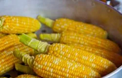 Como harmonizar comidas t�picas de festa junina com diferentes cervejas