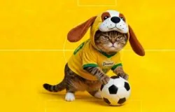 5 dicas para deixar os dias de jogo mais calmos e divertidos para gatos e seus donos