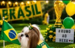 Copa do Mundo aquece venda de roupinhas para pets no Mega Moda