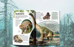 O mist�rio dos dinossauros gigantes explicado para crian�as