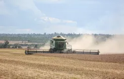 Safra Recorde do Agroneg�cio Brasileiro em 2026 e Desafios Clim�ticos