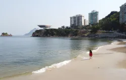 Quem � Hong Myung-bo e por que o t�cnico sul-coreano est� em alta?