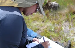 Programa de bolsas para pesquisar a natureza abre inscri��es at� julho