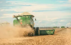 Safra recorde de soja e milho destaca avan�o do agroneg�cio brasileiro