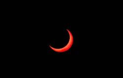 Solare Fiore
