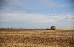 Agroneg�cio brasileiro enfrenta desafios e oportunidades em 2026