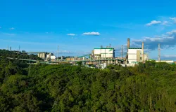 Pol�mica #ChinaPaperMills abala confian�a na ci�ncia e com�rcio global