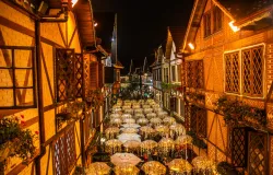 Festival de Inverno de Campos do Jord�o 2026 traz grandes atra��es musicais