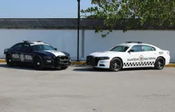 Pol�cia Federal intensifica opera��es contra tr�fico e viol�ncia urbana