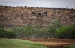 Goi�s se consolida como hub de agrotech e IA no cora��o do Brasil
