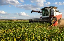 Boa Tarde Agro - Confira os principais destaques desta segunda-feira (24)