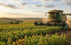 Paran� fecha safra de ver�o recorde com 26,3 milh�es de toneladas e projeta novo ano hist�rico para o agro